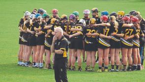 Piltown prove too strong for St Martins in Senior Camogie Quarter-Final