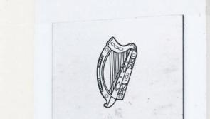 Man couldn’t pay fine because he ‘lost his PIN’, Kildare court told
