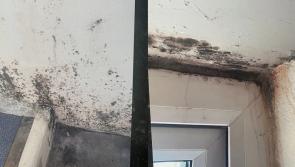 “A death sentence”: Leitrim councillor slams housing conditions in Mohill and Carrick-on-Shannon