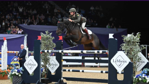 Waterford rider jumps to success at prestigious Horse of The Year Show