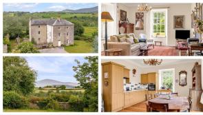 PICTURES: Mount Ullard House near Kilkenny hits the market with stunning grounds at a steal