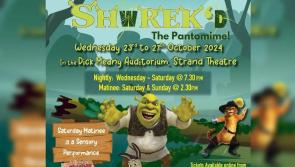 Final rehearsals taking place for Carrick-on-Suir Musical Society's panto SHwREK'D 