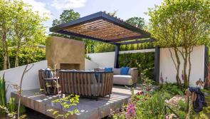Bord Bia seeks to 'cultivate' show garden designers from Waterford for Bloom 2025 