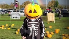 'Awful fright' for families on road to GAA club near Portlaoise