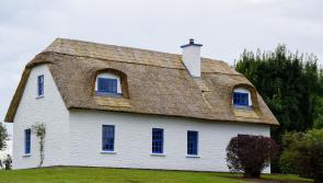 Leitrim councillor calls for action to tackle high rate of vacant homes in the county