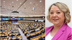 Laois Sinn F&eacute;in councillor already a member of EU forum of local politicans 