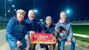 Notshort Ofpace wins Geoff Thompson Memorial Final