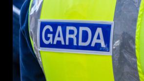 Gardai seeking witnesses to burglary of retailer in County Limerick village