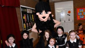 IN PICTURES: Chapel Road PS pupils in the Halloween spirit
