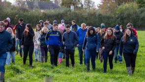 Taoiseach and Minister for Agriculture address young farmers and rural youth