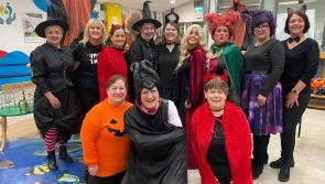 Tipperary Credit Union staff embrace Halloween spirit with costumes