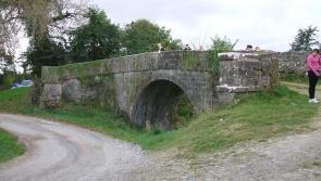 Offaly area to host annual Christmas mini-market