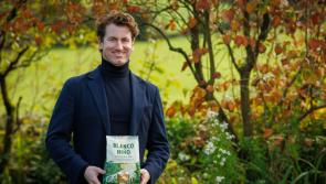 Tipperary tortilla producer wins award for best homegrown food award