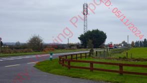 Plans lodged for new telecoms mast in Laois to tackle coverage blackspots
