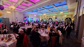 Dedicated volunteers honoured at Laois Community & Voluntary Awards gala night