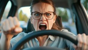 Kilkenny gardaí seek to tackle road rage issue following a number of local incidents