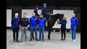 Longford club  launches race night in the yard of leading local horse trainer Paul Flynn