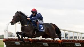 Tipperary jockeys and trainers clock up the wins in the racing world