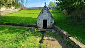 Historical Kilkenny site in need of 'TLC' as new vision is set out to council