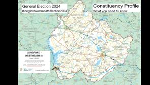 General Election 2024: Longford-Westmeath constituency profile, all you need to know #longfordwestmeathelection2024 