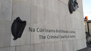 Cannabis to go! Delivery driver jailed for transporting drugs worth €1m via Dublin Port