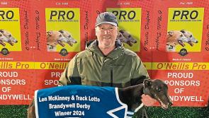Derry Greyhounds: Sweet, sweet success for La Calabaza in Derby run
