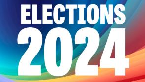 Kilkenny councillor calls for election posters to be restricted to 'certain areas'
