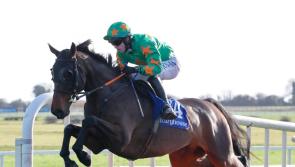 Tidy win for Mouse Morris and Darragh O'Keeffe with recent Fairyhouse double 