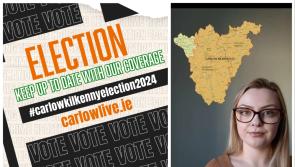 WATCH: Your 90-second guide to voting in General Election 2024 in Carlow-Kilkenny

