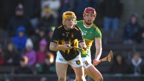 Kilcormac-Killoughey survive by the skin of their teeth as injury time Screeney goal books Leinster final berth