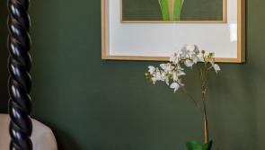  A Tour of the Basil Goulding Art Collection in Kilkenny's Butler House 