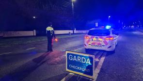 Kilkenny gardaí out in force in the city