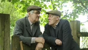 Huge reaction to return of local actors to the stage 