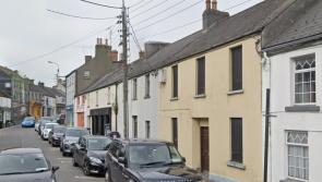 Just one vacant property owner in Laois has applied for interest free renovation loan