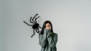 POSITIVE PSYCHOLOGY: Fears, phobias and finding a way through them