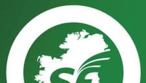 Sinn Féin candidates neck and neck in race for Carlow-Kilkenny seat 