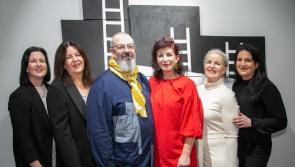 PICTURES: New solo exhibition opens at Waterford's Gallery of Modern Art