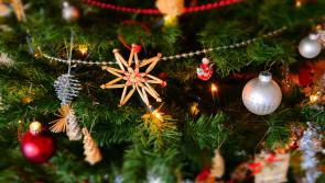 Tipperary border community centre set for fun-filled Christmas event