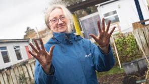Local teachers get their hands dirty at Hollybush PS during ‘No Dig Gardening’ training
