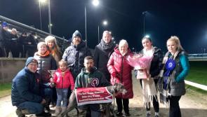 Derry Greyhounds: Jella crowned Queen of the Oaks at Brandywell