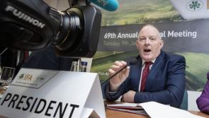 Mercusor will 'devastate' &euro;3 bn beef farming declares Laois man who leads Irish farmers