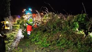 One taken to hospital as Laois fire services attend 50 callouts during Storm Darragh