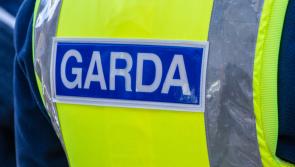 Gardaí seek public's assistance as distinctive trailer is stolen from Broadford 