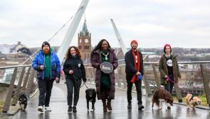 NI Science Festival reveals blooming great programme for 2025