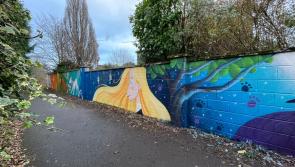 New mural unveiled in Kilkenny 