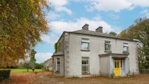 GAA Club and school outbid as parochial house and 12.5 acres of parish land in Offaly fetches €735,000