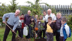 Arthur's Archives: Rewinding the years in Louth