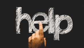 Kilkenny community make desperate plea for public help