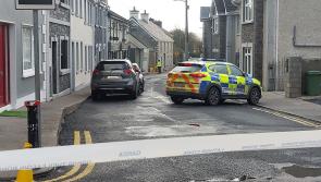 UPDATE: Post-mortem conducted on body of Rathkeale woman who died following hit-and-run