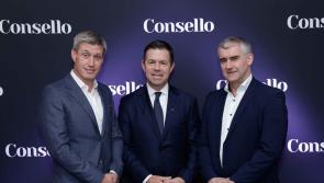 Ronan O'Gara joins Tipperary-based firm in new advisory role